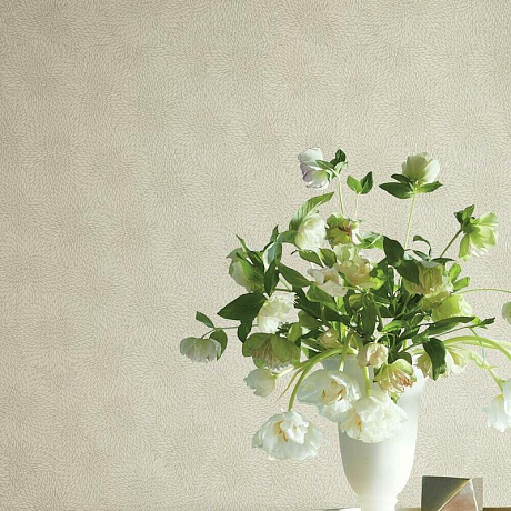 Обои Wallflower Taupe LX1292